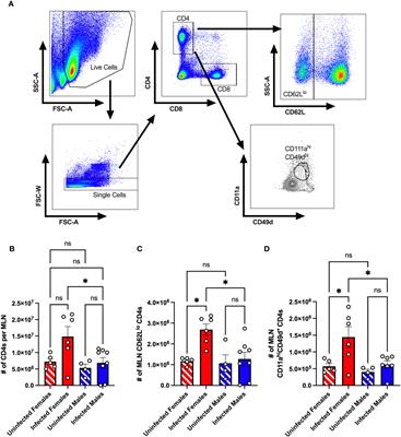 A viral-specific CD4+ T cell response protects female mice from Coxsackievirus B3 infection